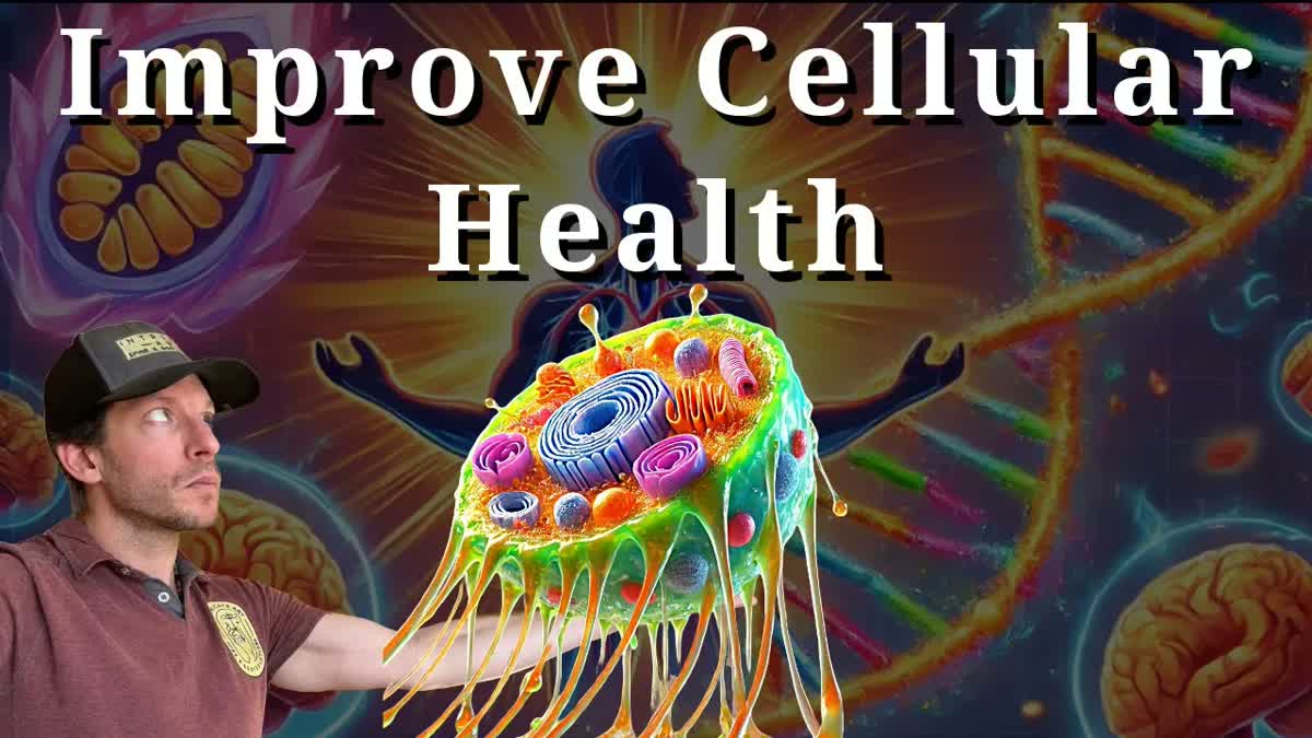 Boost Telomeres, Unlock Longevity