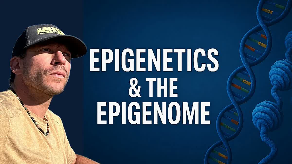 Epigenetic Blueprint Unlocked