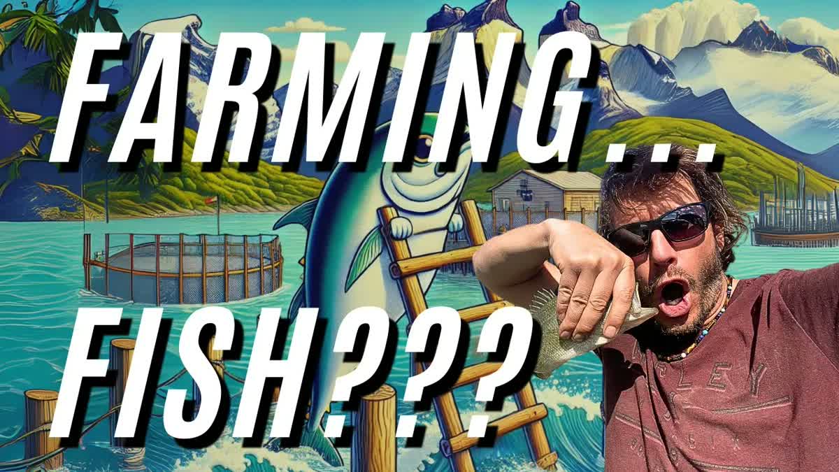 Why You Should Skip Farm-Raised Fish