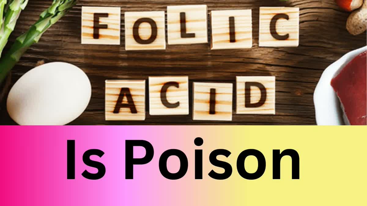 Folic Acid: The Hidden Toxin