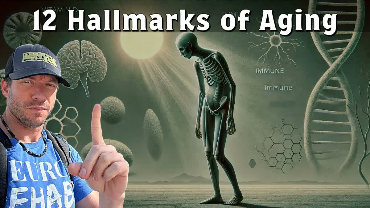 Unlocking the Epigenome for Longevity