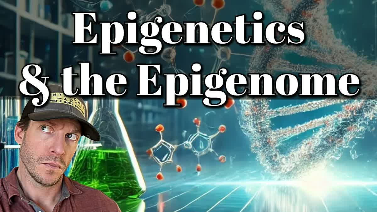 How Your Diet Rewrites DNA Epigenetic Power