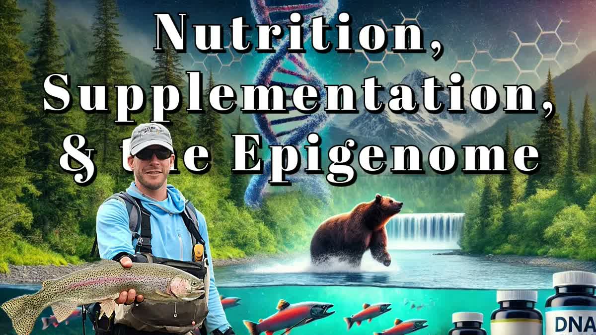 Unlocking Your Body’s Epigenetic Potential for Longevity
