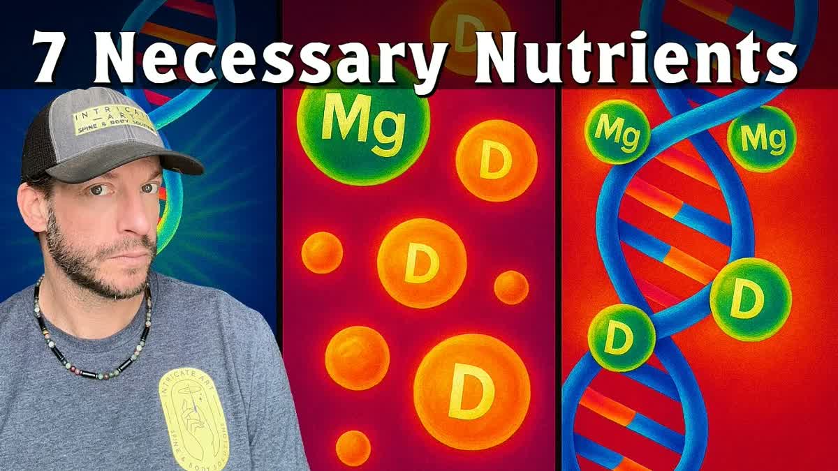 7 Nutrients to Protect DNA Now