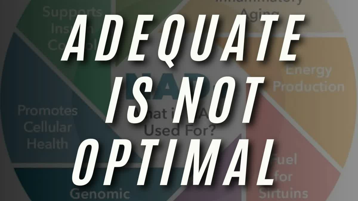 The Top 7 Vitamins & Nutrients to Optimize Autonomic Nervous System Homeostasis